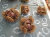Photo_6