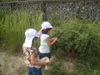 Photo_2
