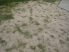 Photo_5