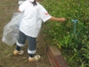 Photo_11