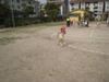 Photo_6