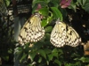 Photo_15