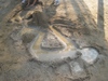 Photo_4
