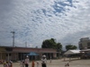 Photo_2